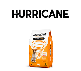 Hurricane